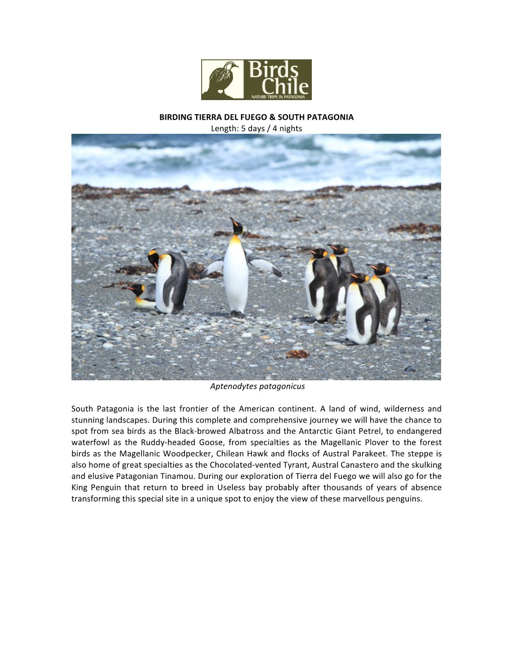 BIRDING TIERRA DEL FUEGO & SOUTH PATAGONIA Length