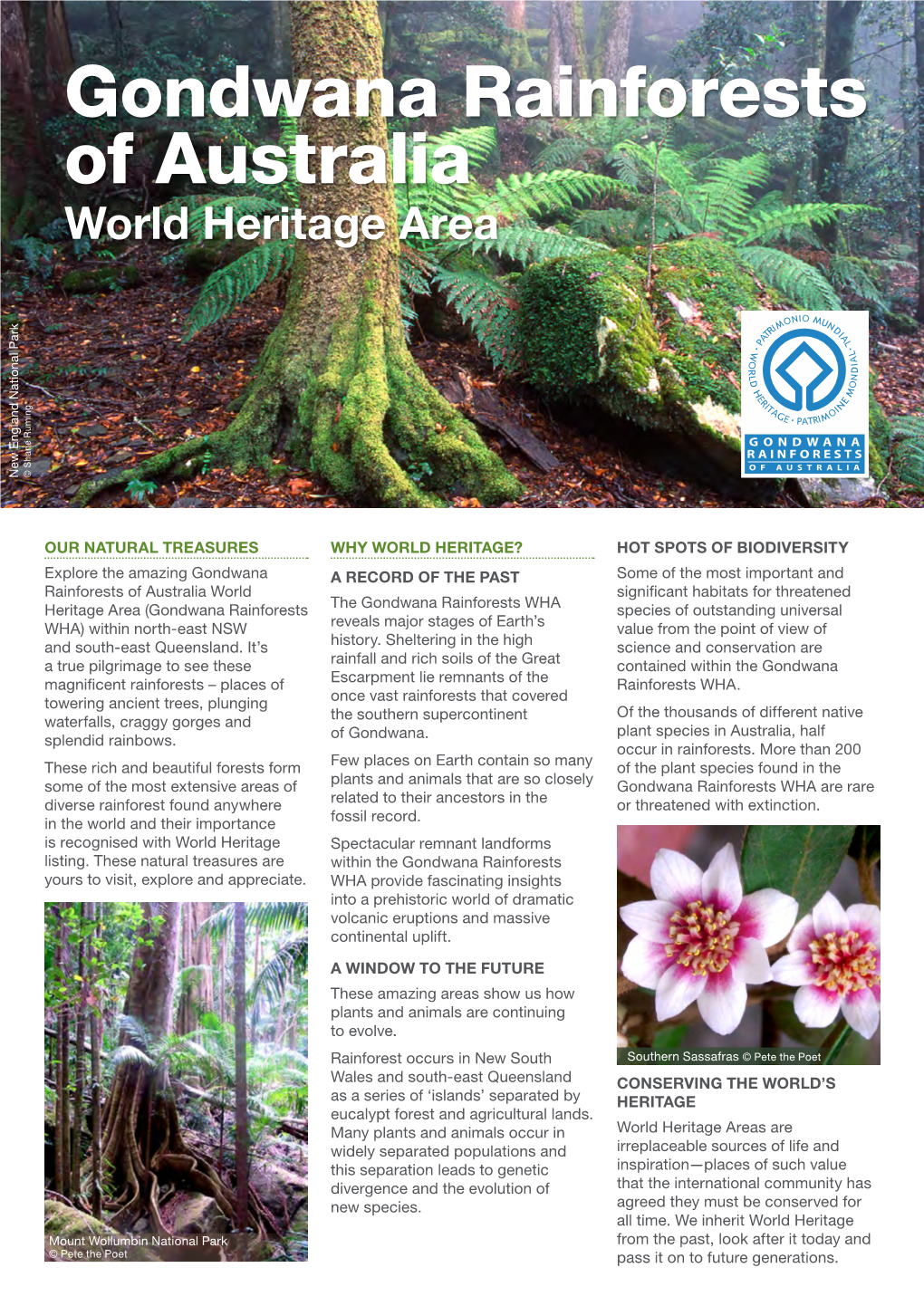 Gondwana Rainforests of Australia World Heritage Area