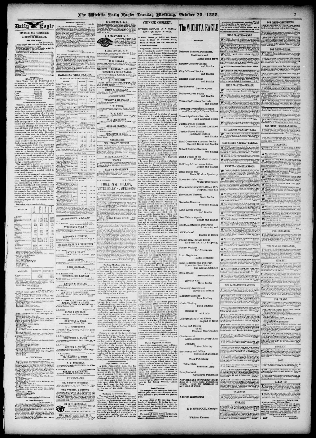 Sjitilijse CATTLE Receipts, 6,000; Ehipments, COO