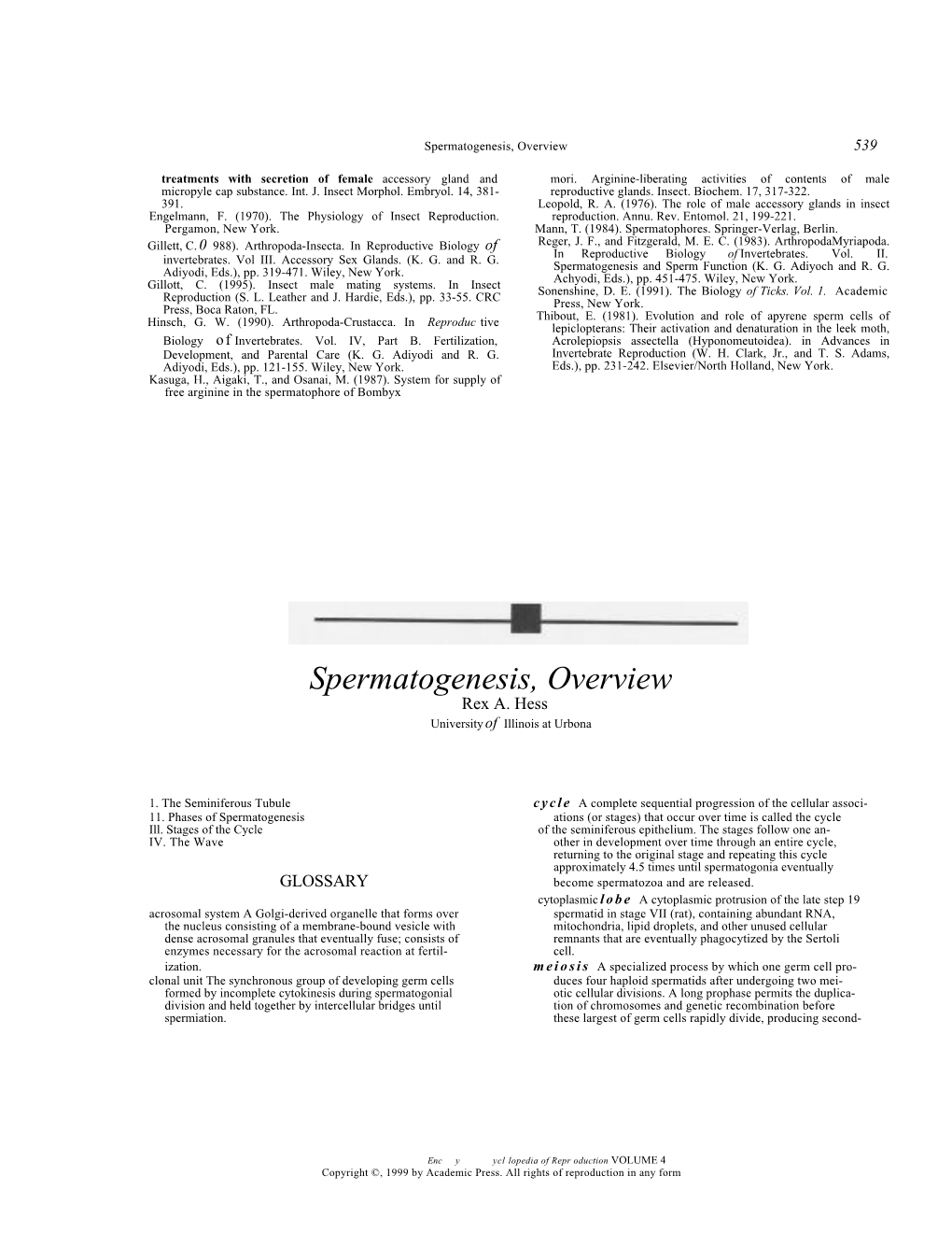 Spermatogenesis Overview