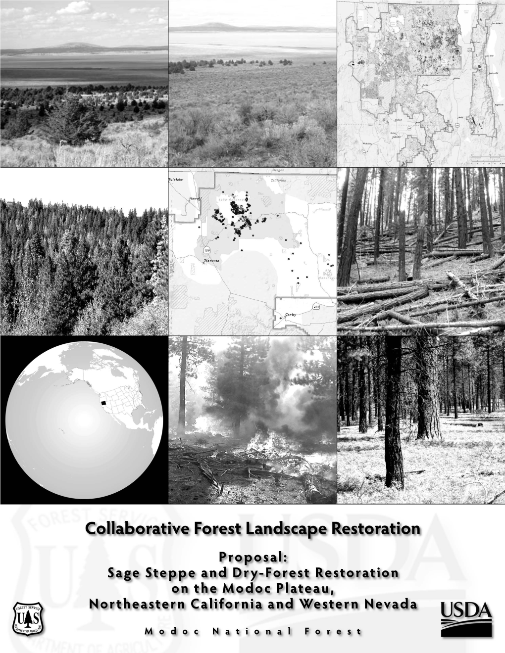 Modoc Plateau Collaborative Forest Landscape Restoration Proposal