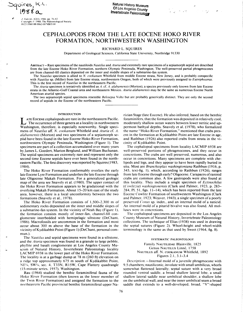 Cephalopods from the Late Eocene Hoko River Formation, Northwestern Washington Richard L