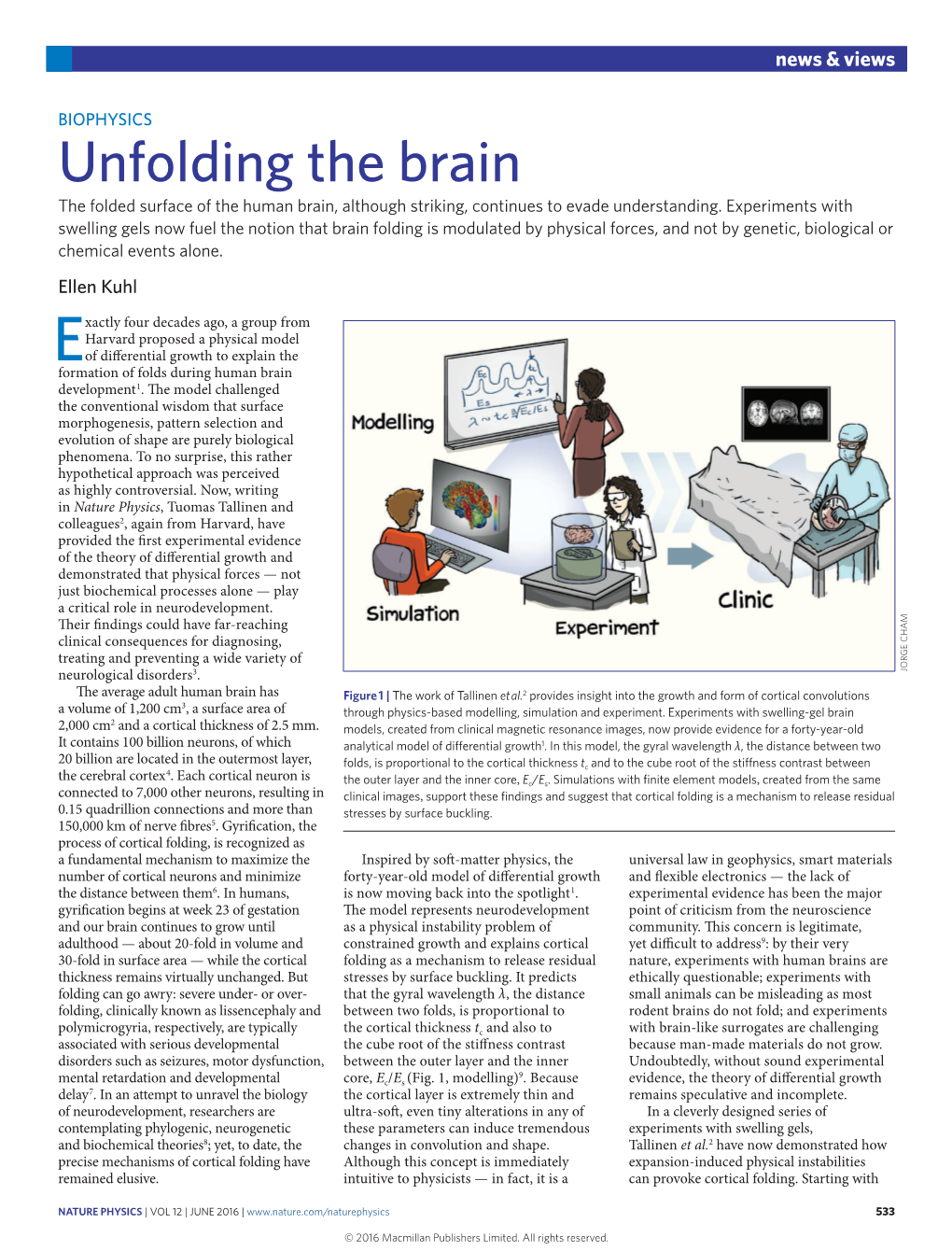 Biophysics: Unfolding the Brain