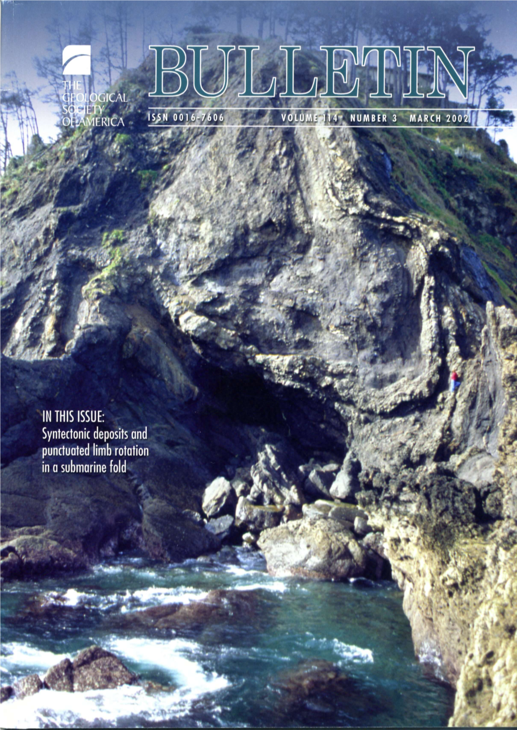 Albian Black Flysch Group Deposits) and Vation of the Abundant Organic Input