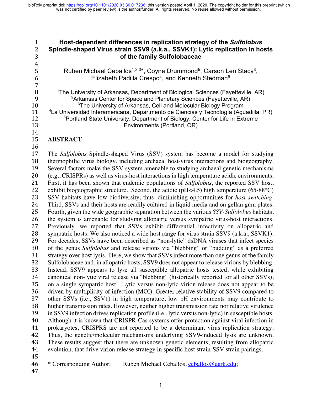 Host-Dependent Differences in Replication Strategy of The