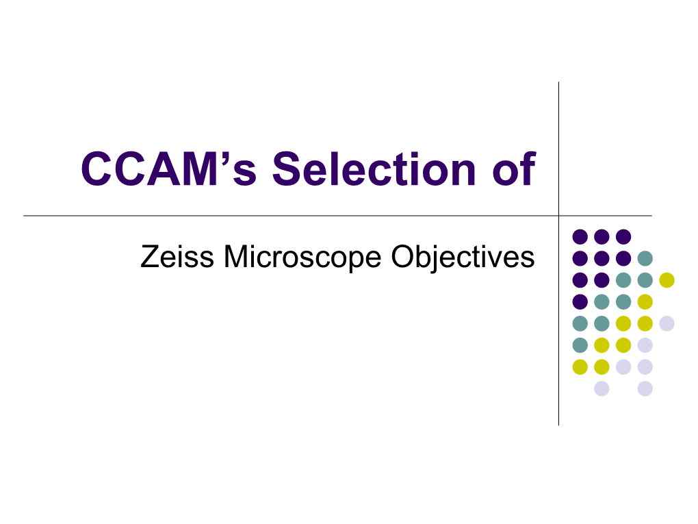 CCAM Objectives.Pdf