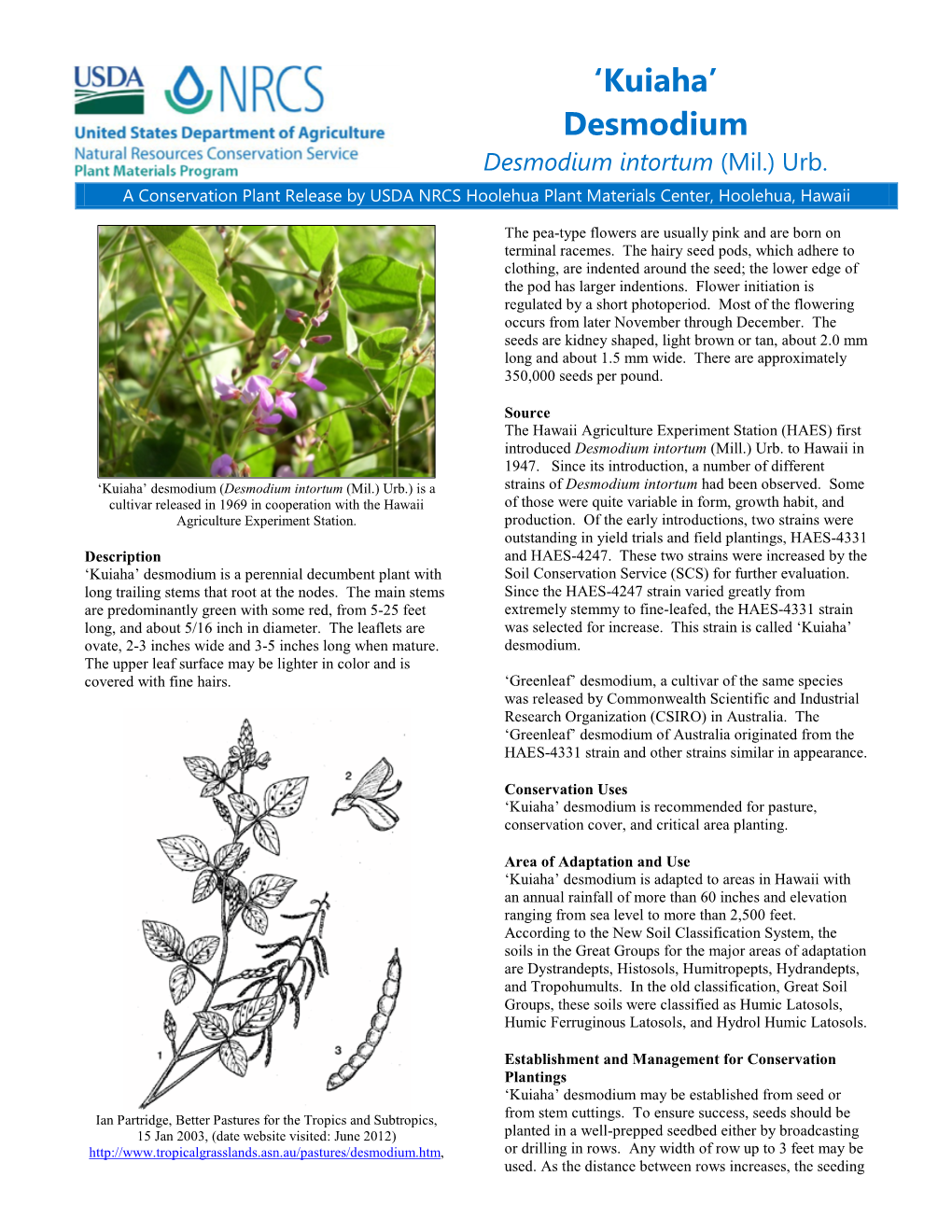 Desmodium Intortum (Mil.) Urb