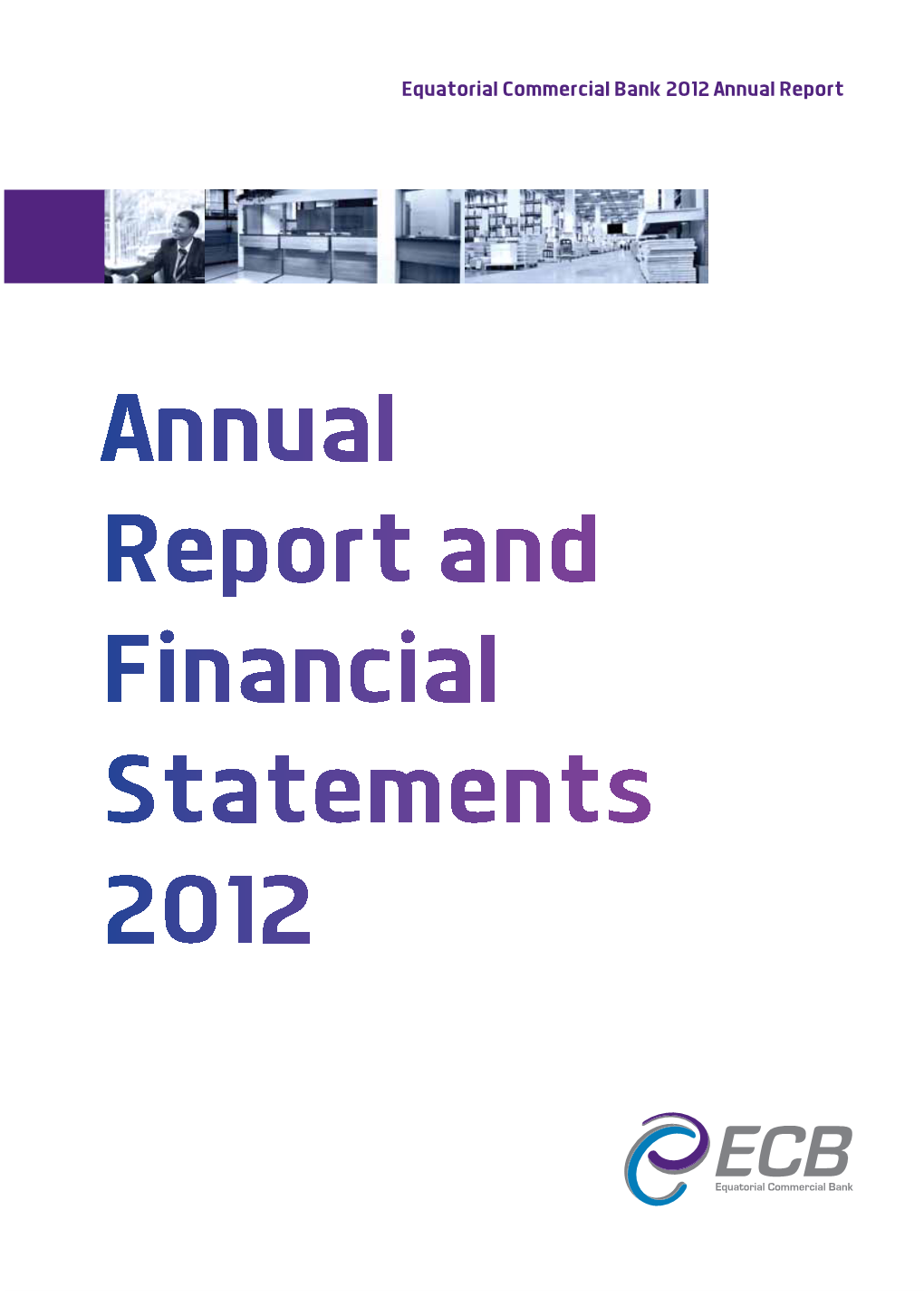 Report and Financial Statements for the Year Ended 31 December 2012