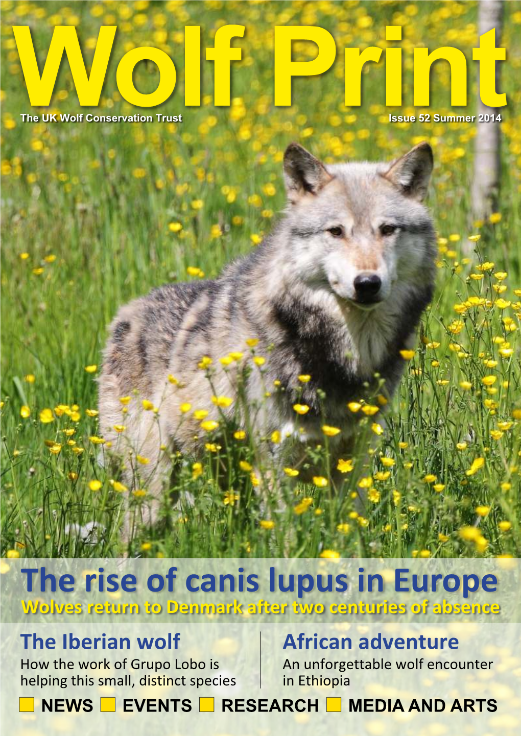 The Rise of Canis Lupus in Europe