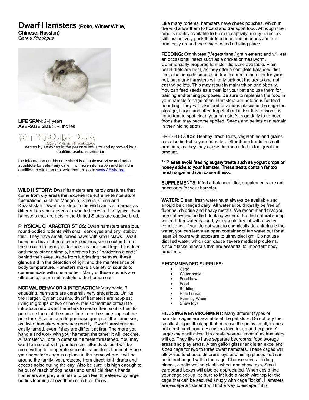 Dwarf Hamster Care Sheet