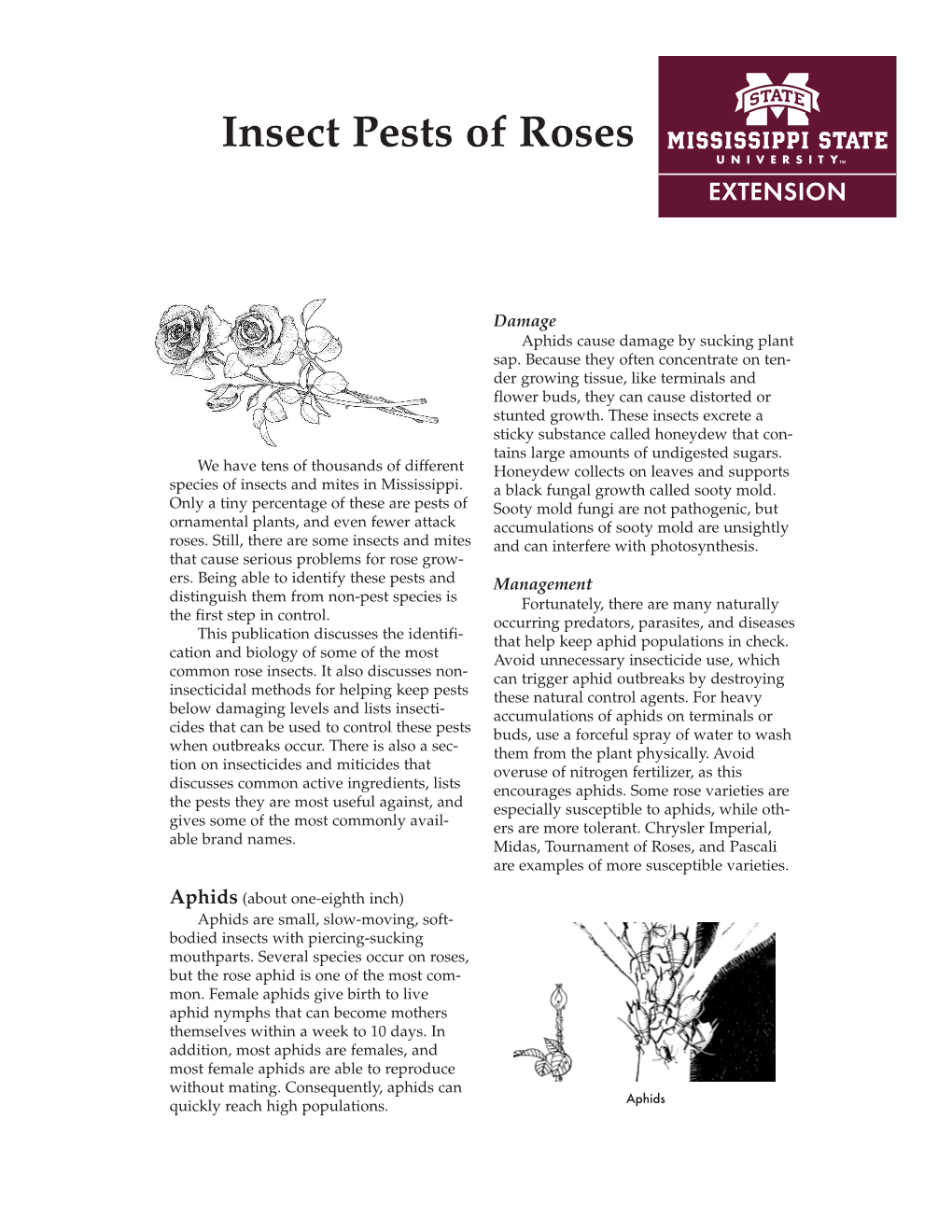 P2472 Insect Pests of Roses