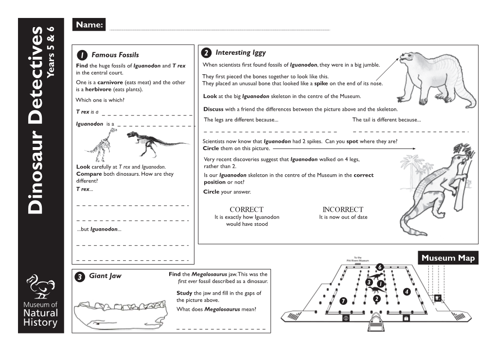 Dinosaur Detectives Years 5 & 6 Which Oneiswhich? Name: T Rex T Is a One Isacarnivore (Eatsmeat)Andtheother Iguanodon in Thecentralcourt