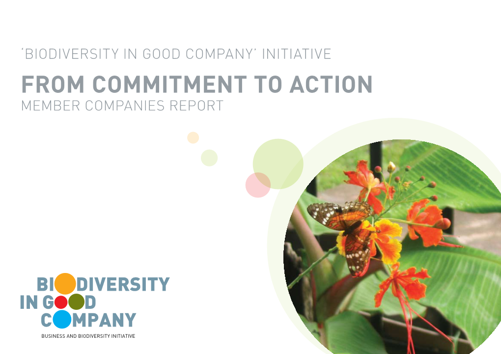 From Commitment to Action Member Companies Report