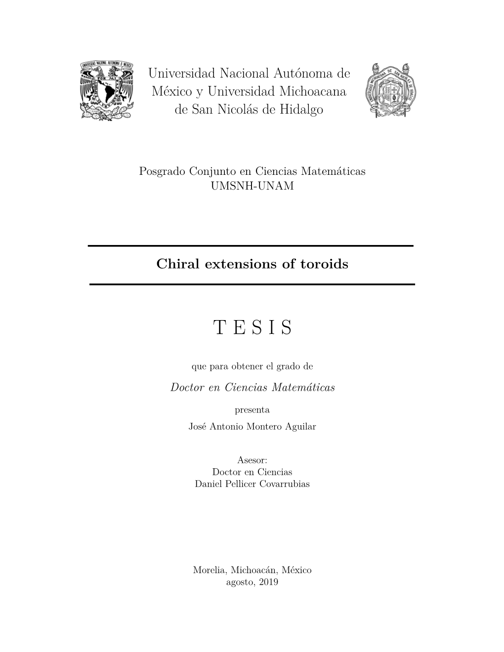 Chiral Extensions of Toroids