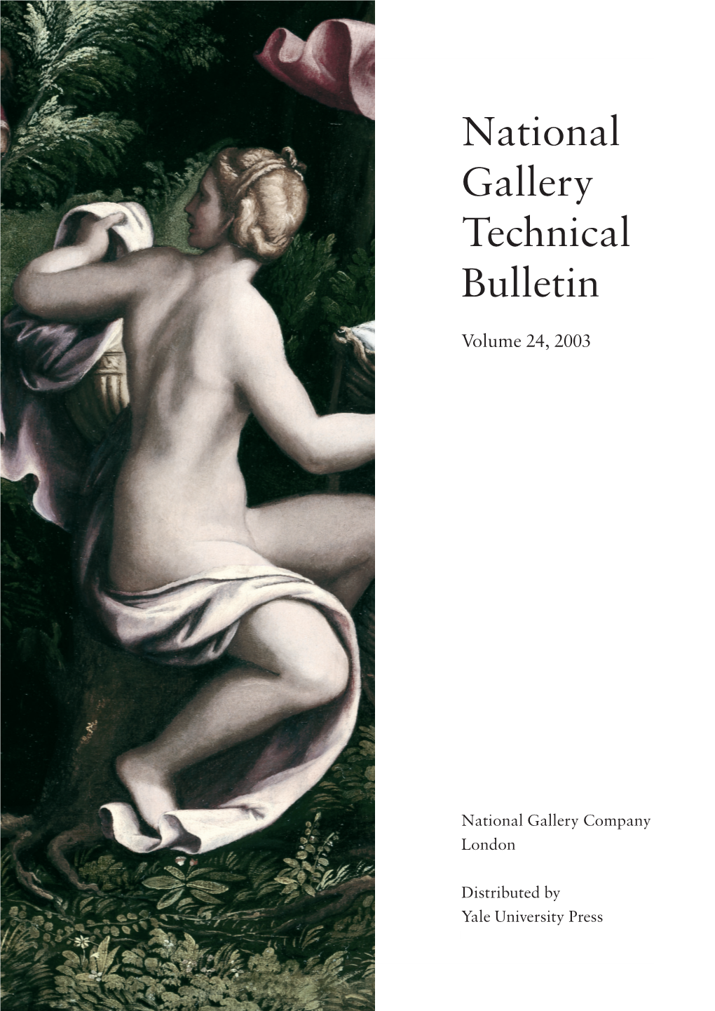 A Study of Unusual Black and Dark Grey Pigments Used by Artists in the Sixteenth Century