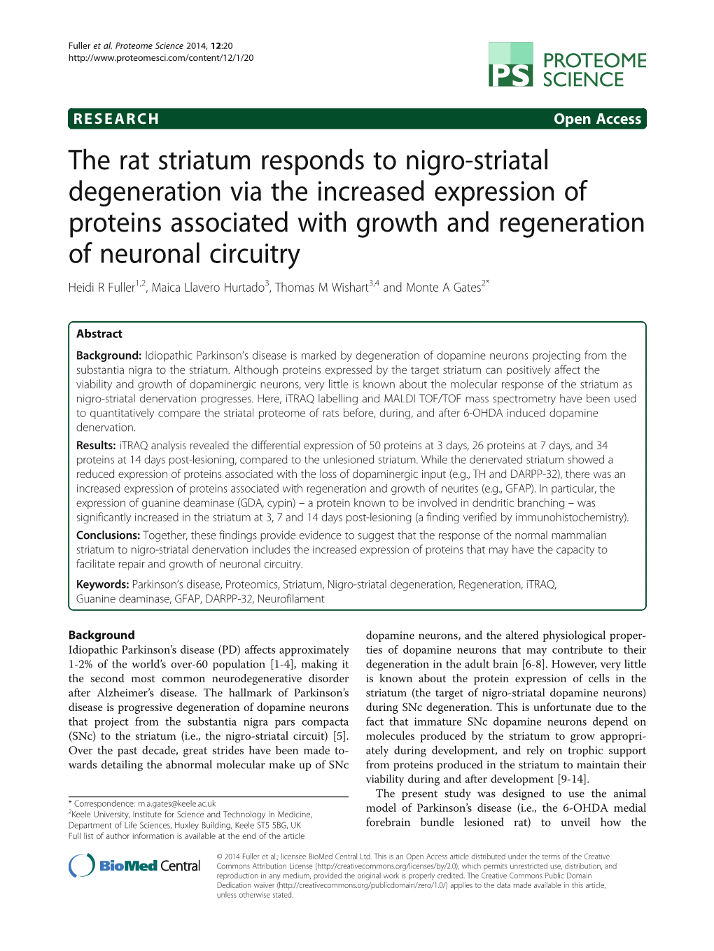 The Rat Striatum Responds to Nigro-Striatal Degeneration Via The