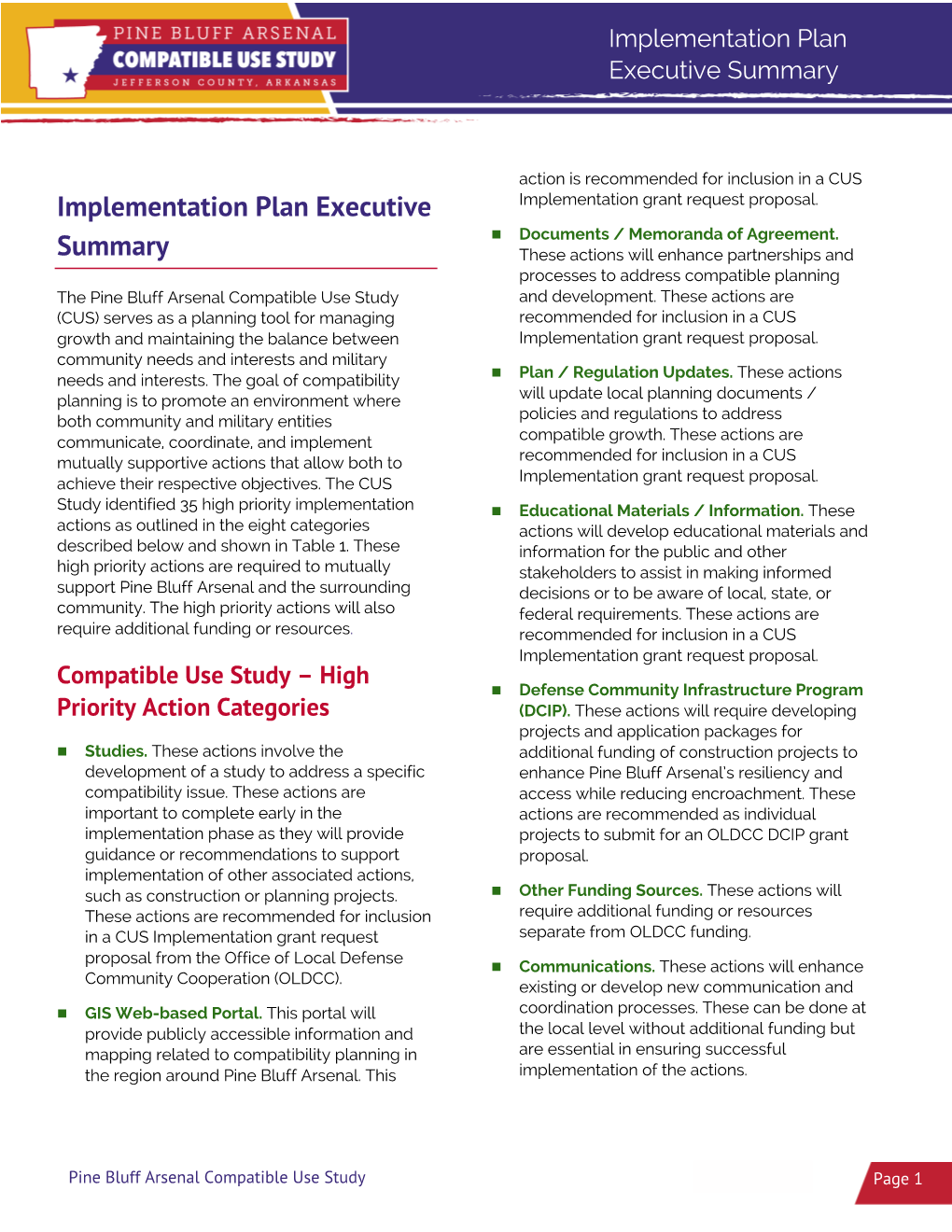 Implementation Plan Executive Summary