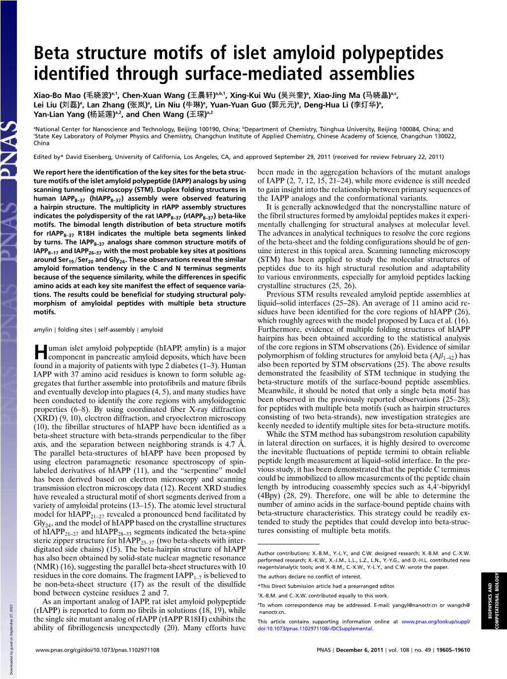 Beta Structure Motifs of Islet Amyloid Polypeptides Identified Through Surface-Mediated Assemblies