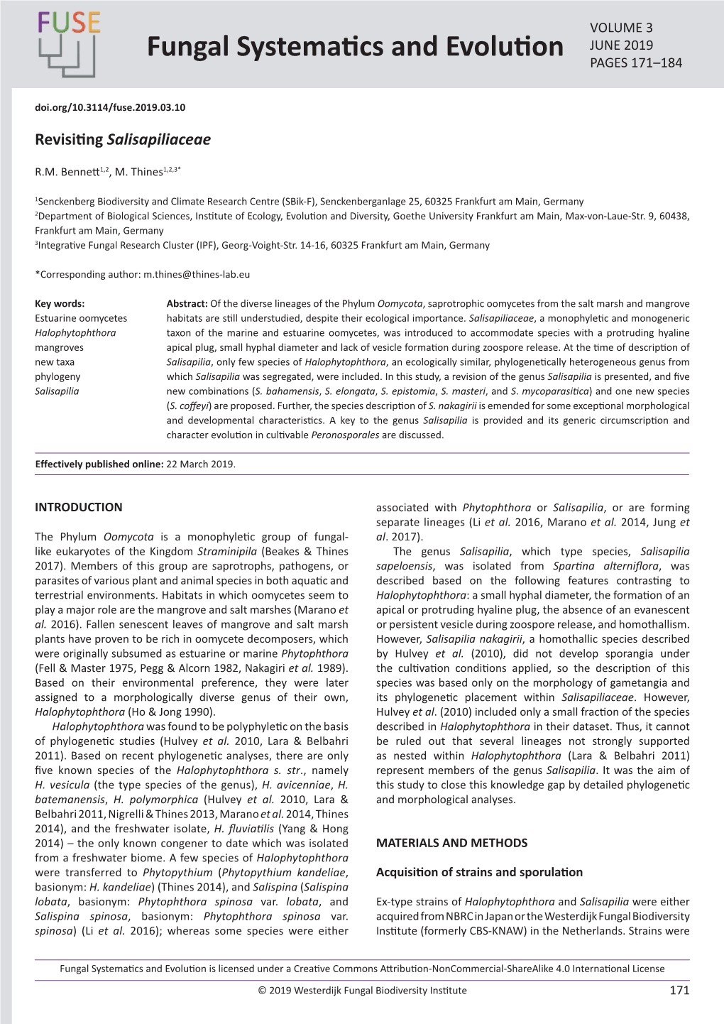 Revisiting Salisapiliaceae