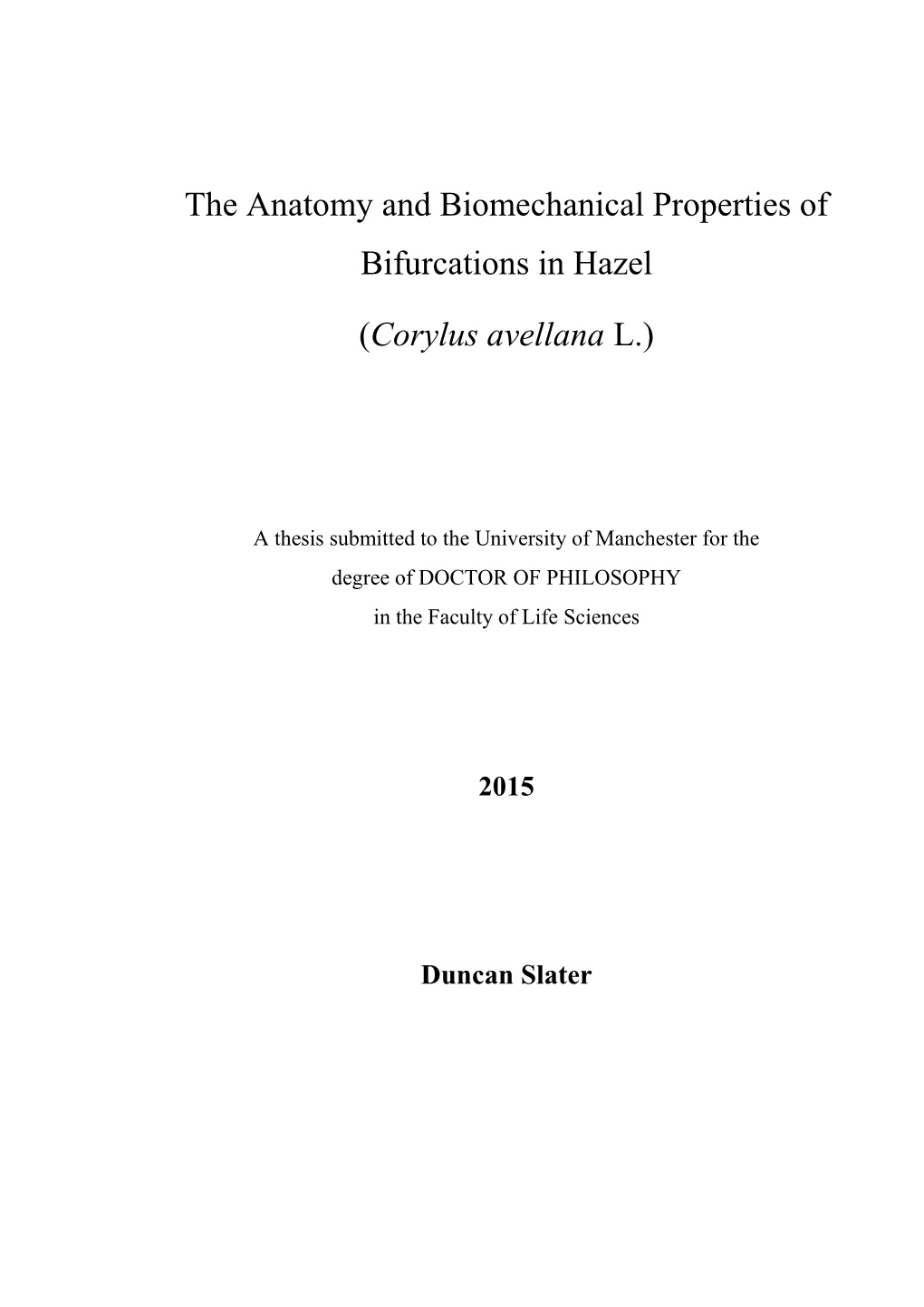 The Anatomy and Biomechanical Properties of Bifurcations in Hazel