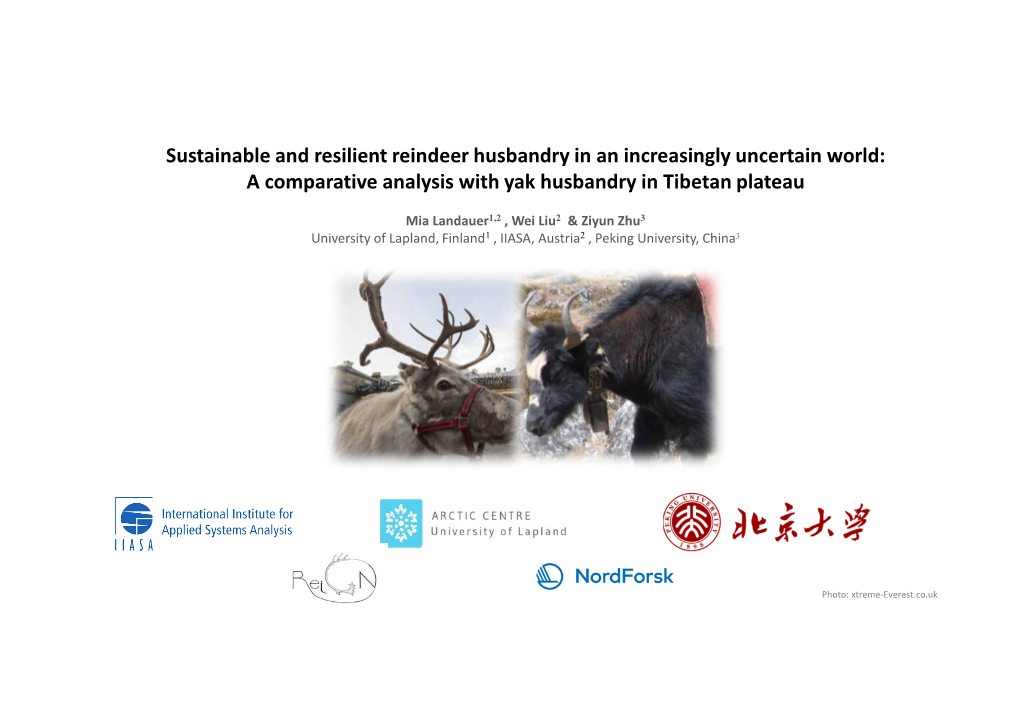 A Comparative Analysis with Yak Husbandry in Tibetan Plateau