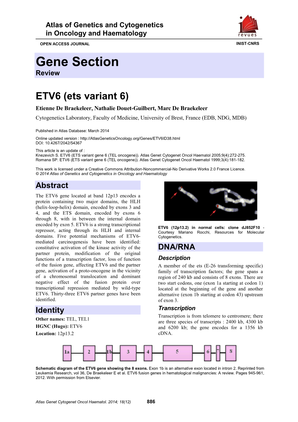 Gene Section Review