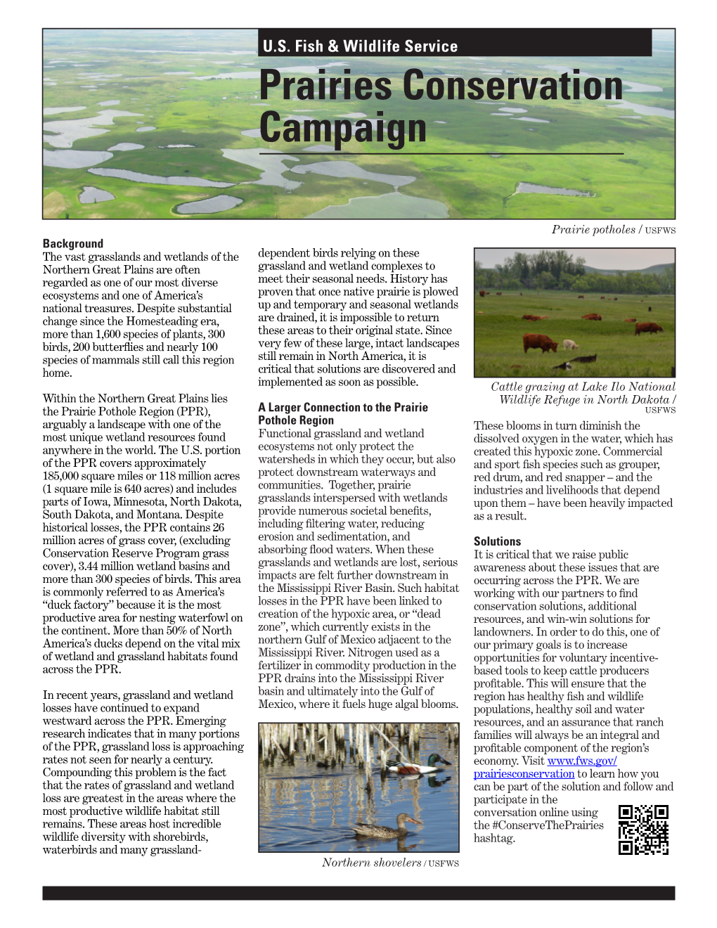 Prairies Conservation Campaign