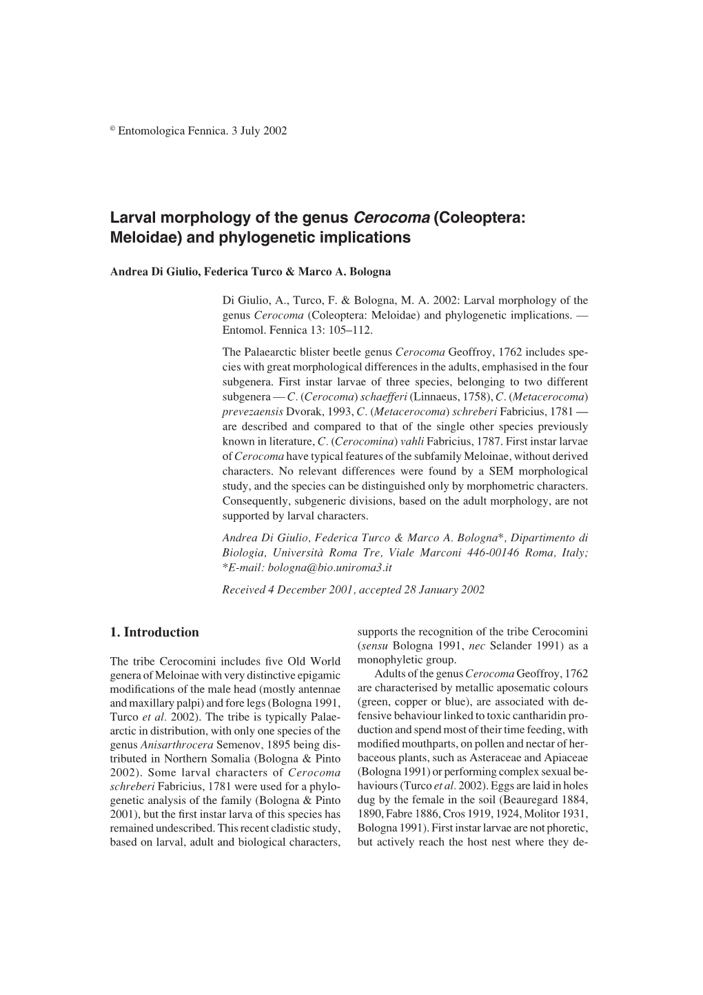 Larval Morphology of the Genus Cerocoma (Coleoptera: Meloidae) and Phylogenetic Implications