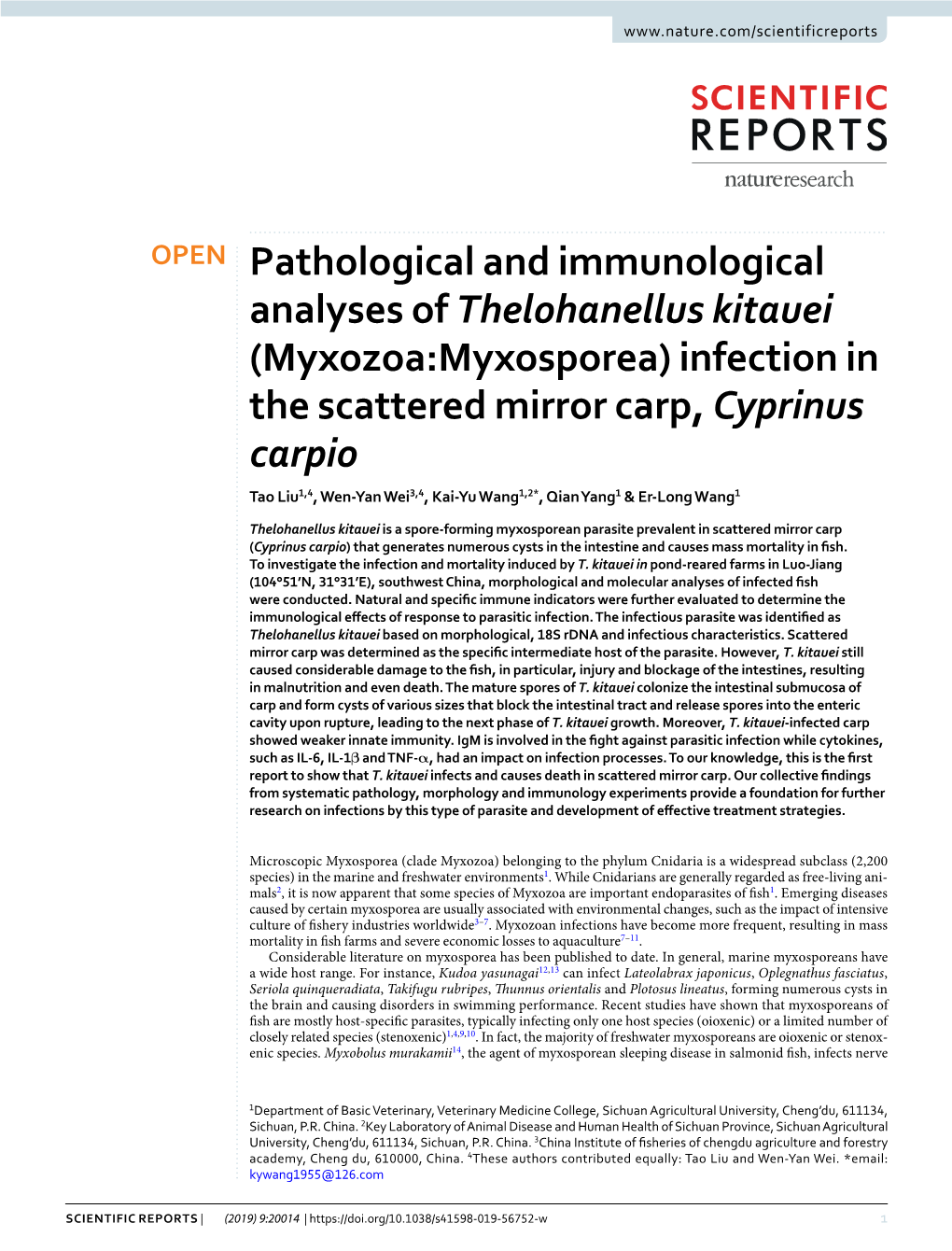 Pathological and Immunological Analyses of Thelohanellus Kitauei (Myxozoa:Myxosporea) Infection in the Scattered Mirror Carp, Cy