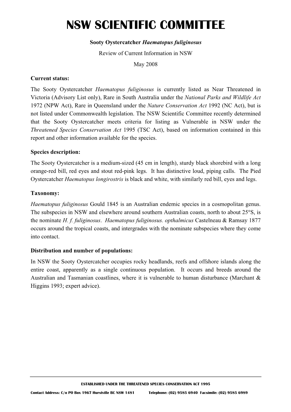 Sooty Oystercatcher Haematopus Fuliginosus Review of Current Information in NSW May 2008