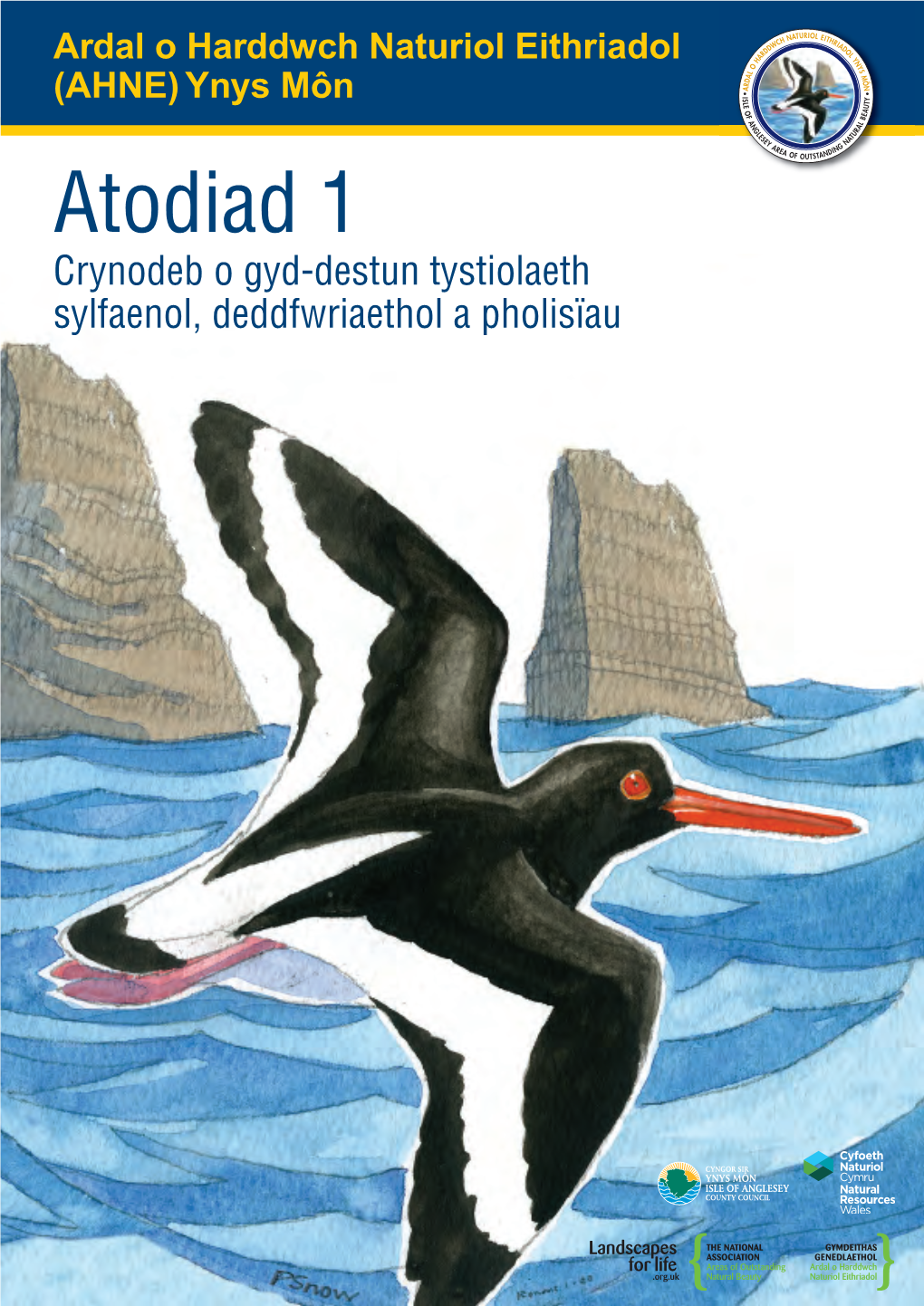 Adolygiad-Cynllun-Rheoli-2015-2020-AHNE-Ynys-Môn-Atodiad1