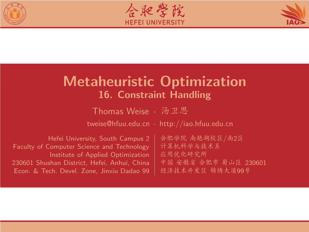 Metaheuristic Optimization 16