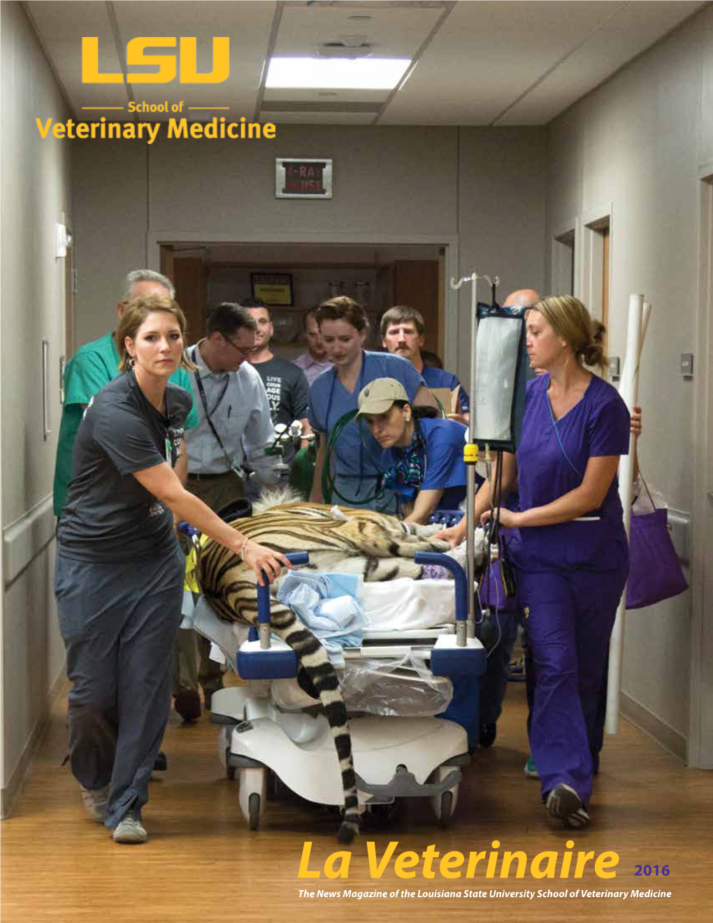 La Veterinaire 2016 the News Magazine of the Louisiana State University School of Veterinary Medicine LETTER from OUR DEAN