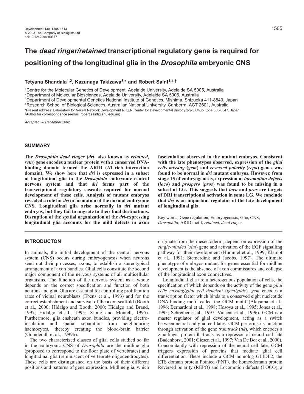 The Dead Ringer/Retained Transcriptional Regulatory Gene Is Required for Positioning of the Longitudinal Glia in the Drosophila Embryonic CNS