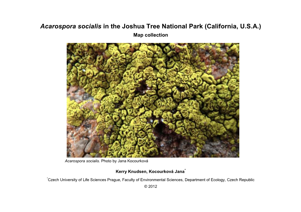 Acarospora Socialis in the Joshua Tree National Park (California, U.S.A.) Map Collection