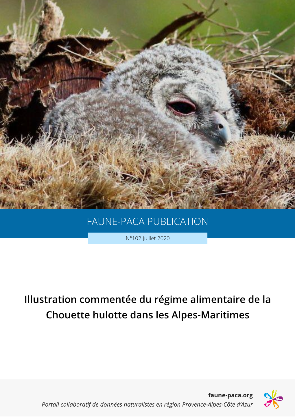 Illustration Commentée Du Régime Alimentaire De La Chouette Hulotte Dans Les Alpes-Maritimes