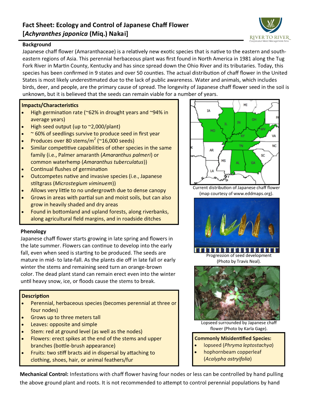 Fact Sheet: Ecology and Control of Japanese Chaff Flower