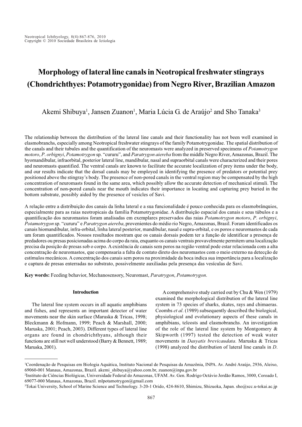 Morphology of Lateral Line Canals in Neotropical Freshwater Stingrays (Chondrichthyes: Potamotrygonidae) from Negro River, Brazilian Amazon