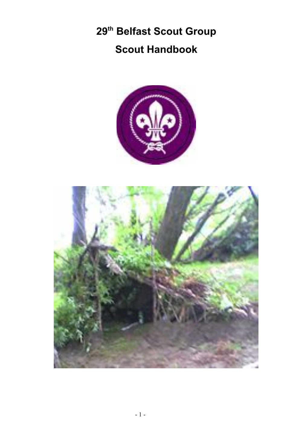 29Th Belfast Scout Group