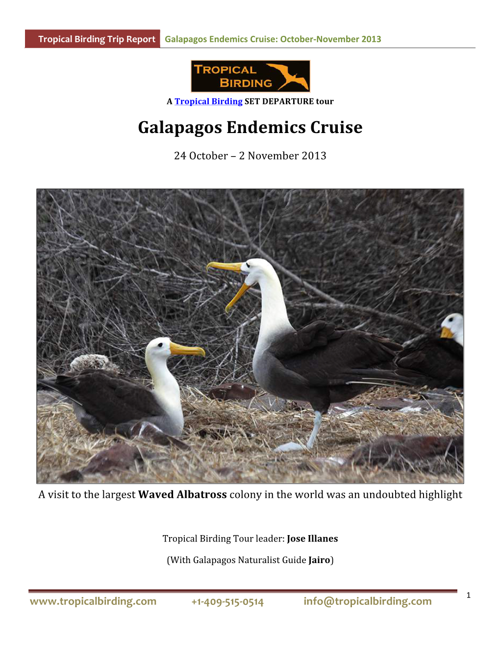 Galapagos Endemics Cruise: October-November 2013