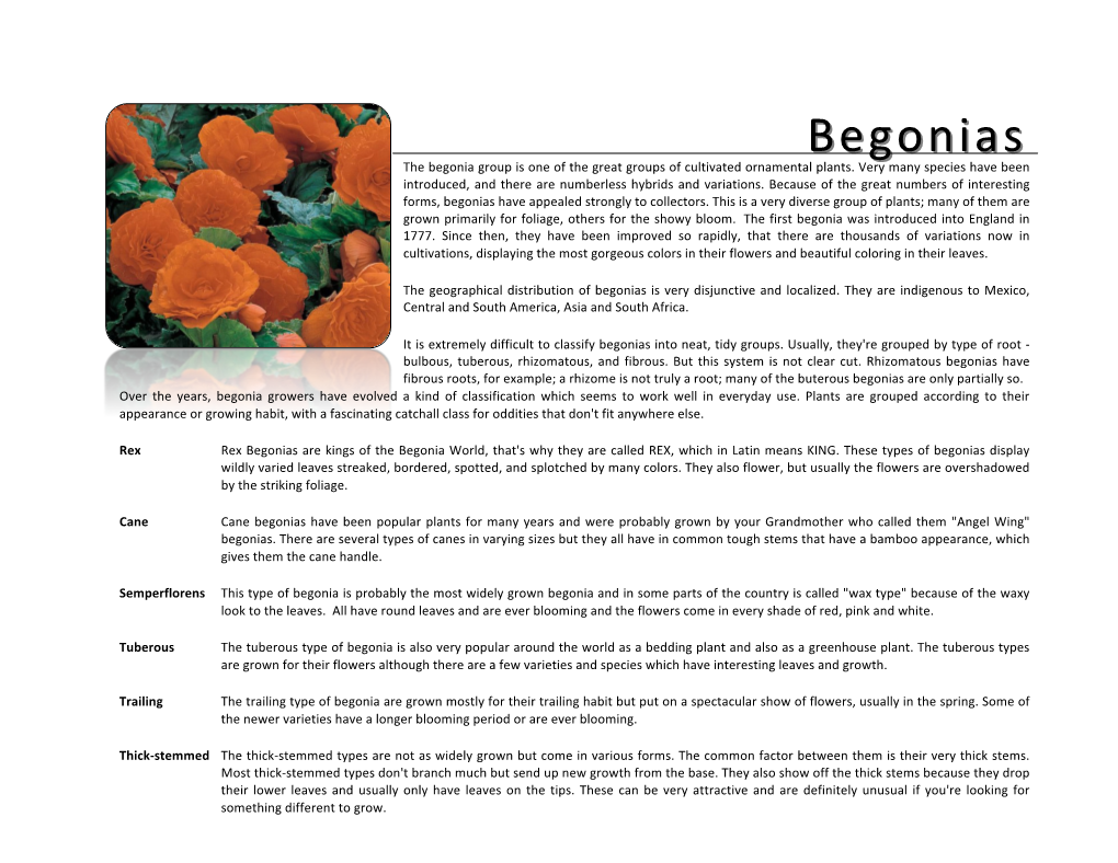 Begoniasbegonias the Begonia Group Is One of the Great Groups of Cultivated Ornamental Plants