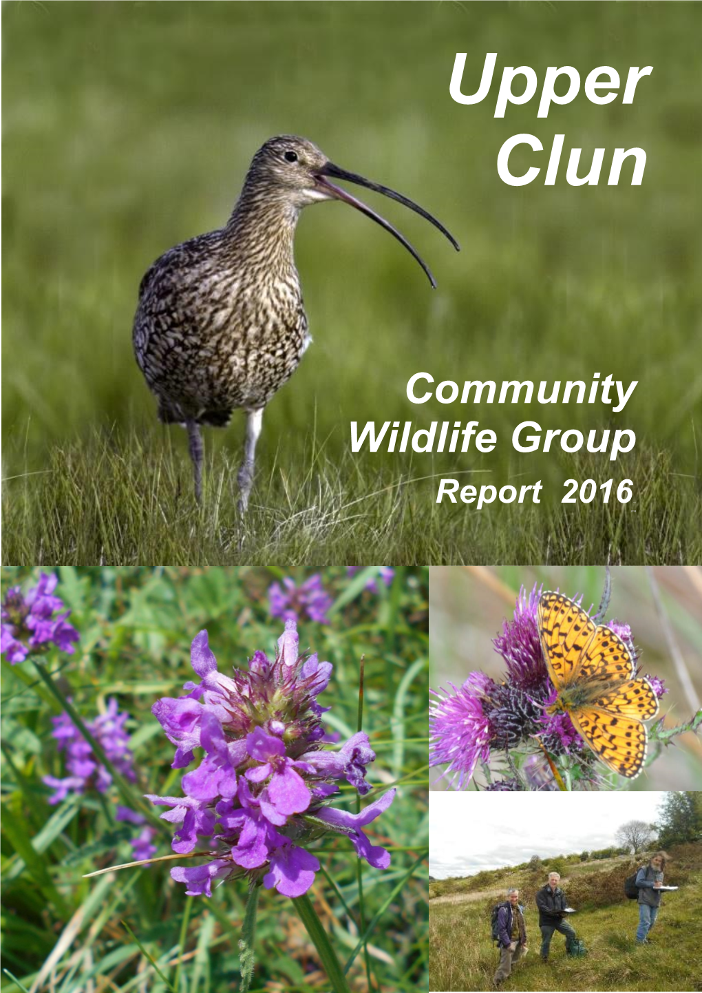 Upper Clun Community Wildlife Group