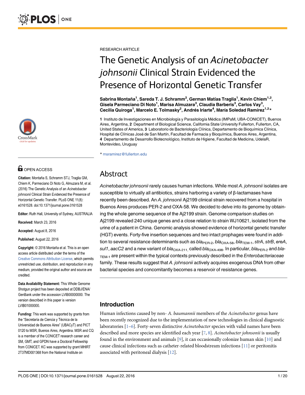 The Genetic Analysis of an Acinetobacter Johnsonii Clinical Strain Evidenced the Presence of Horizontal Genetic Transfer