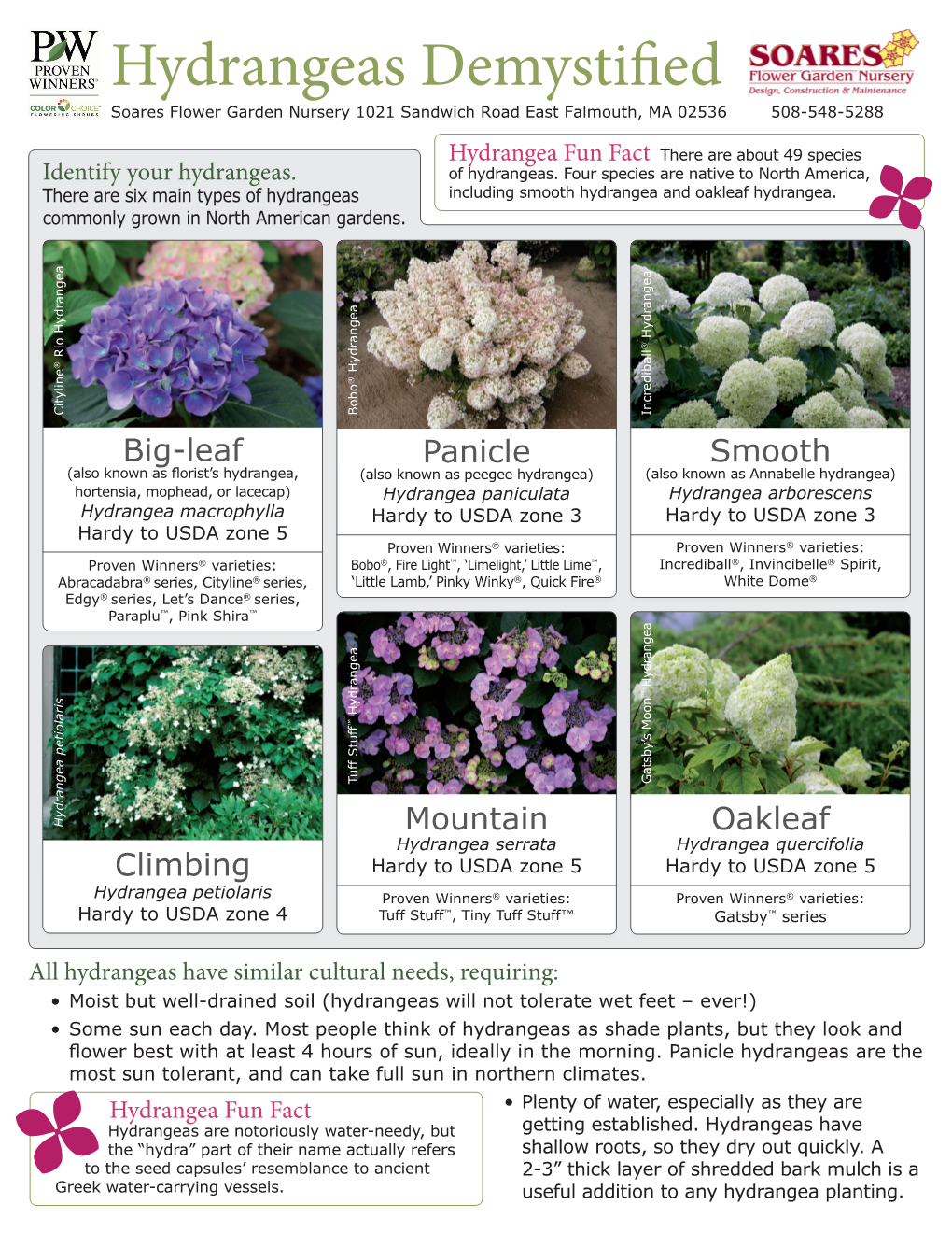Hydrangeas Demystified Soares Flower Garden Nursery 1021 Sandwich Road East Falmouth, MA 02536 508-548-5288