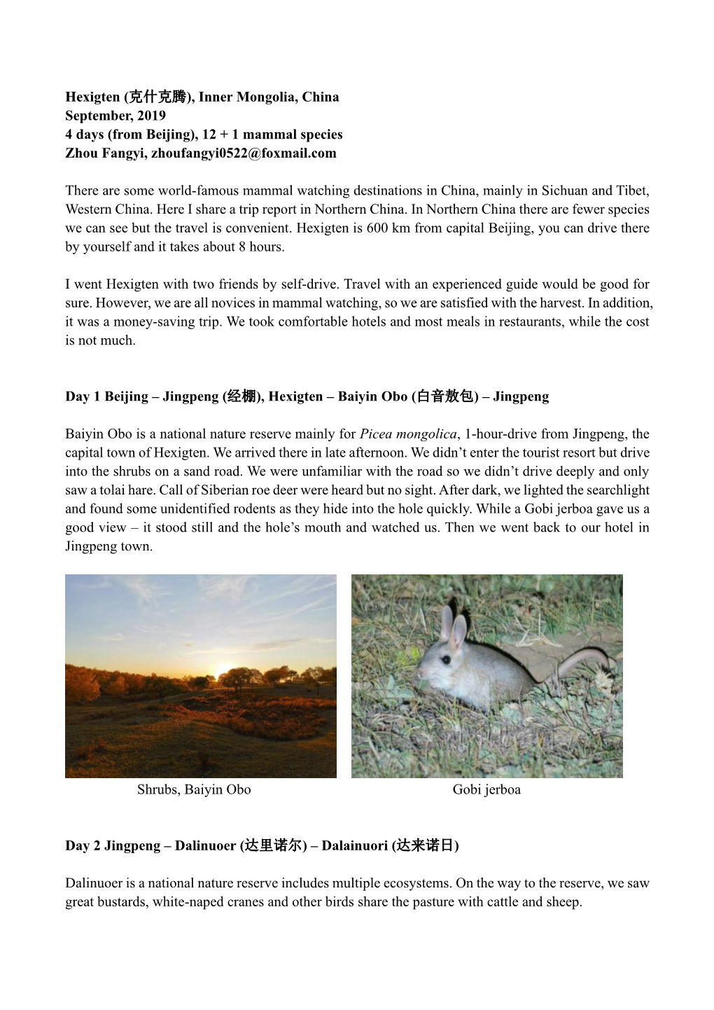 Hexigten (克什克腾), Inner Mongolia, China September, 2019 4 Days (From Beijing), 12 + 1 Mammal Species Zhou Fangyi, Zhoufangyi0522@Foxmail.Com