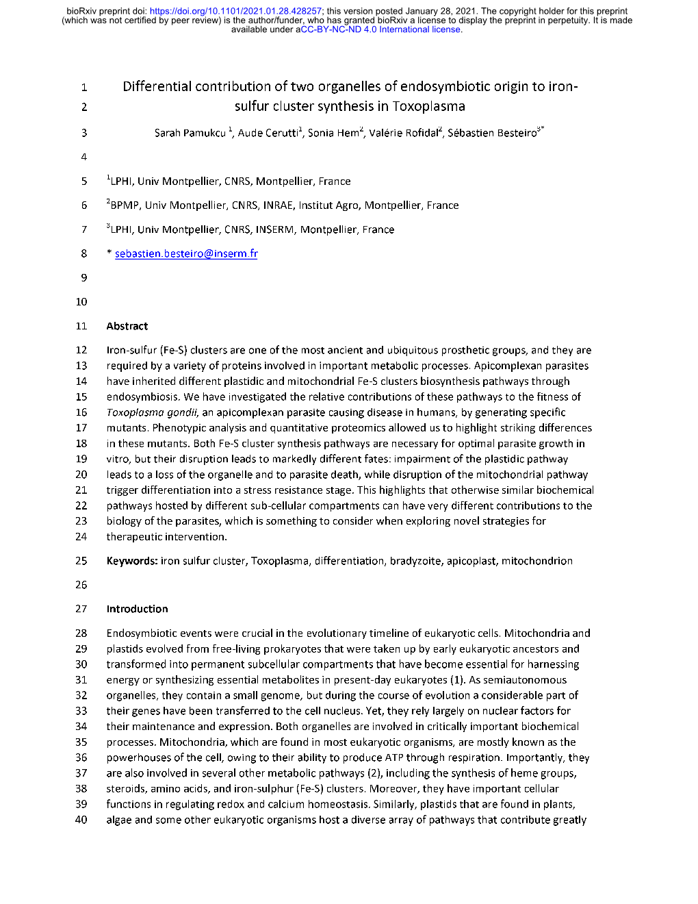 Sulfur Cluster Synthesis in Toxoplasma