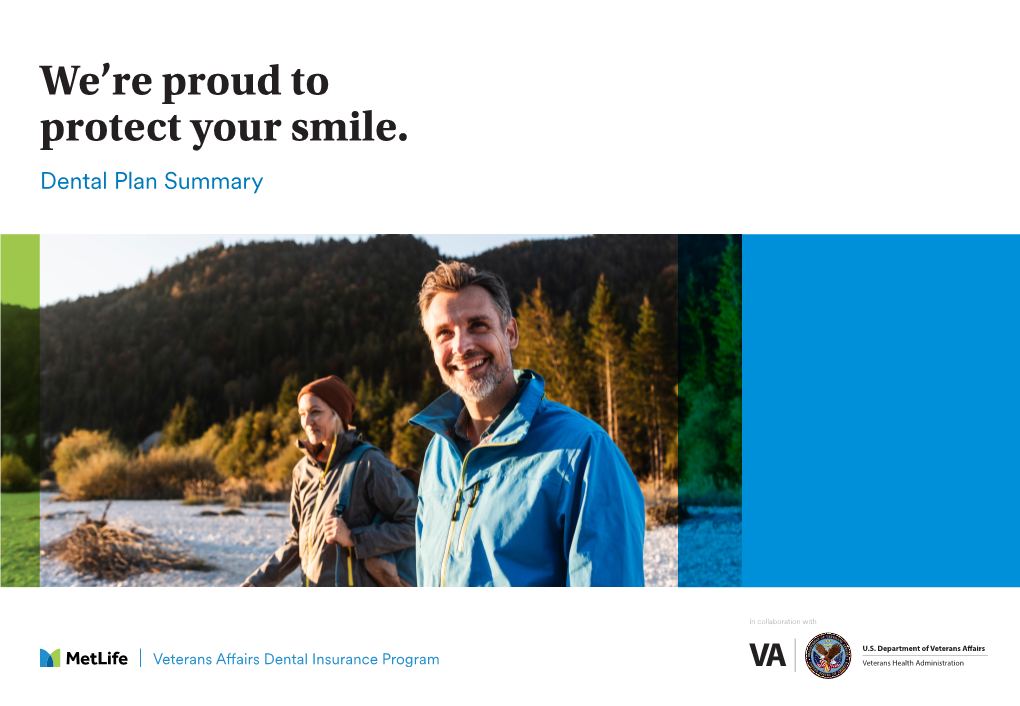 Metlife Veterans Affairs Dental Insurance Program