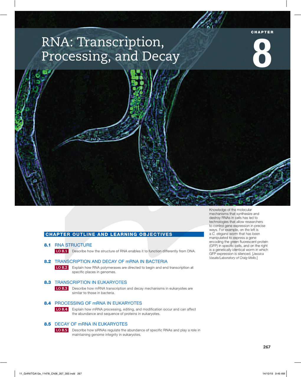 RNA: Transcription, Processing, and Decay 8