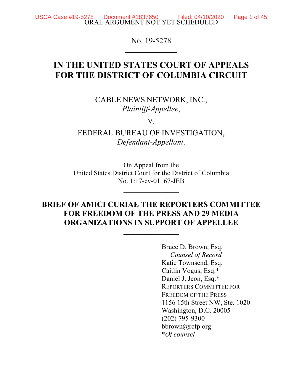 The Amicus Brief