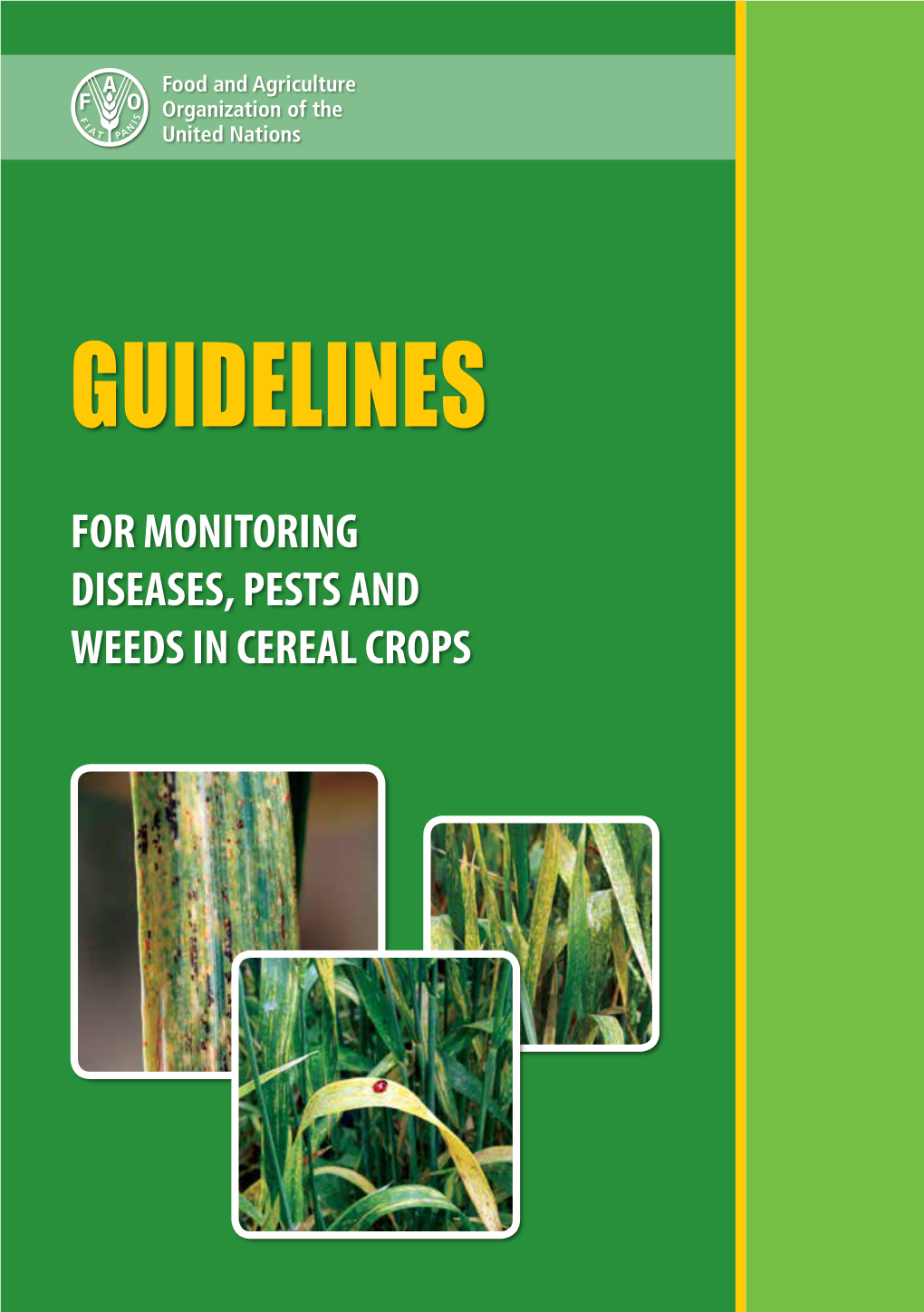 Guidelines for Monitoring Diseases, Pests and Weeds in Cereal Crops